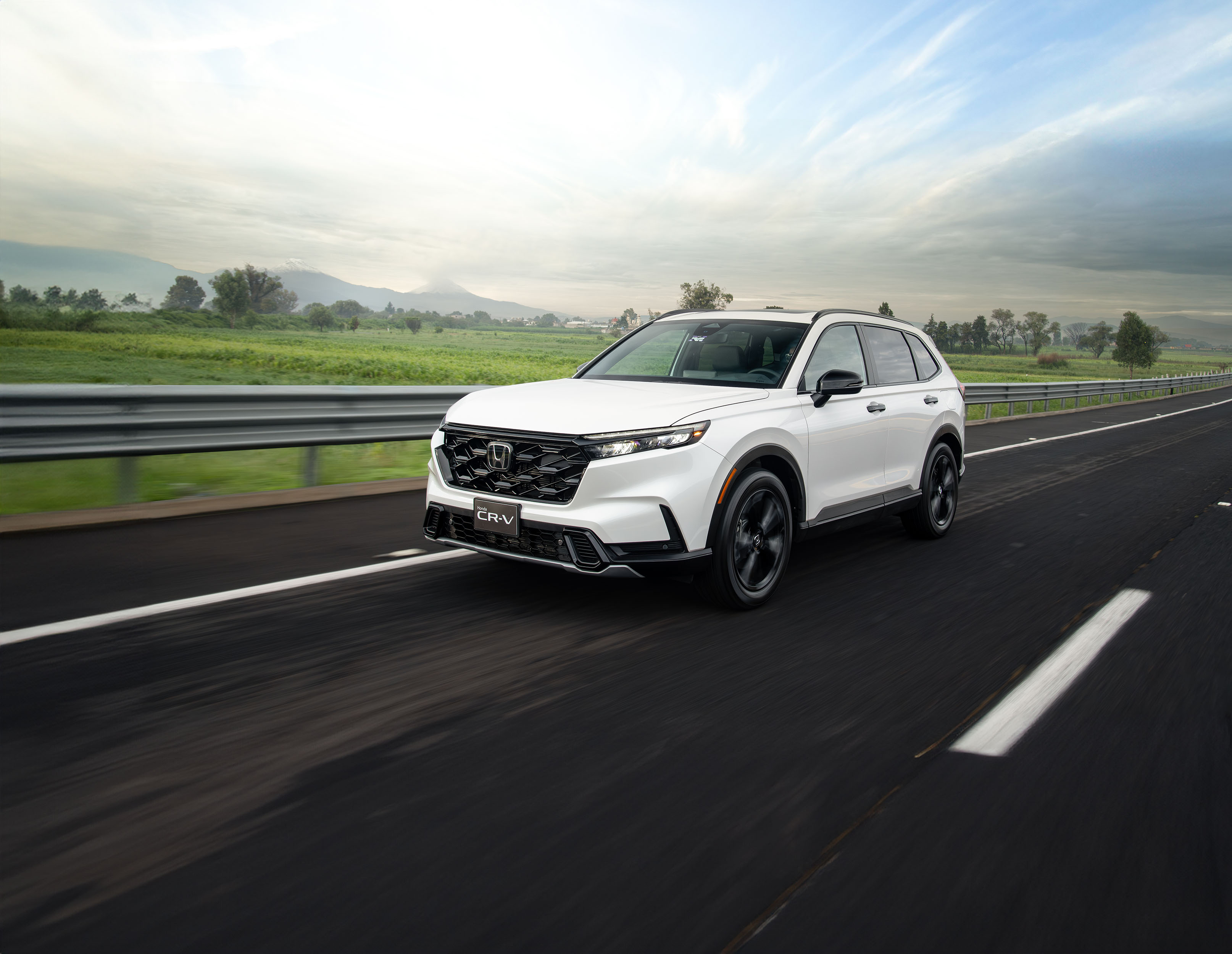 خرید آنلاین ارس پلاک